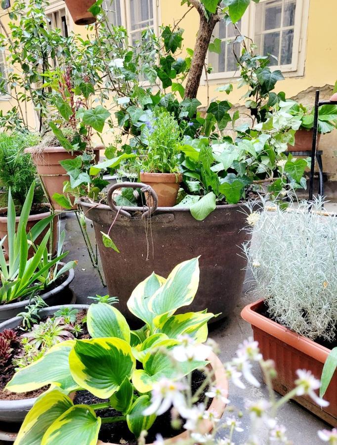 Secret Garden Apartment Загреб Екстериор снимка