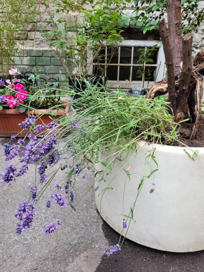 Secret Garden Apartment Загреб Екстериор снимка